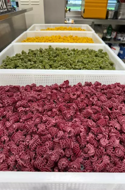 Eigene Nudeln, Cooking Ninja, Patrik Walder, Catering, Event, Foodtruck, Bregenzerwald